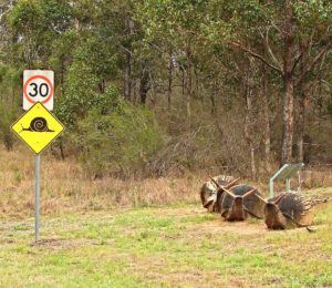 Slow_down,_Giant_snails_crossing-_(337095799)